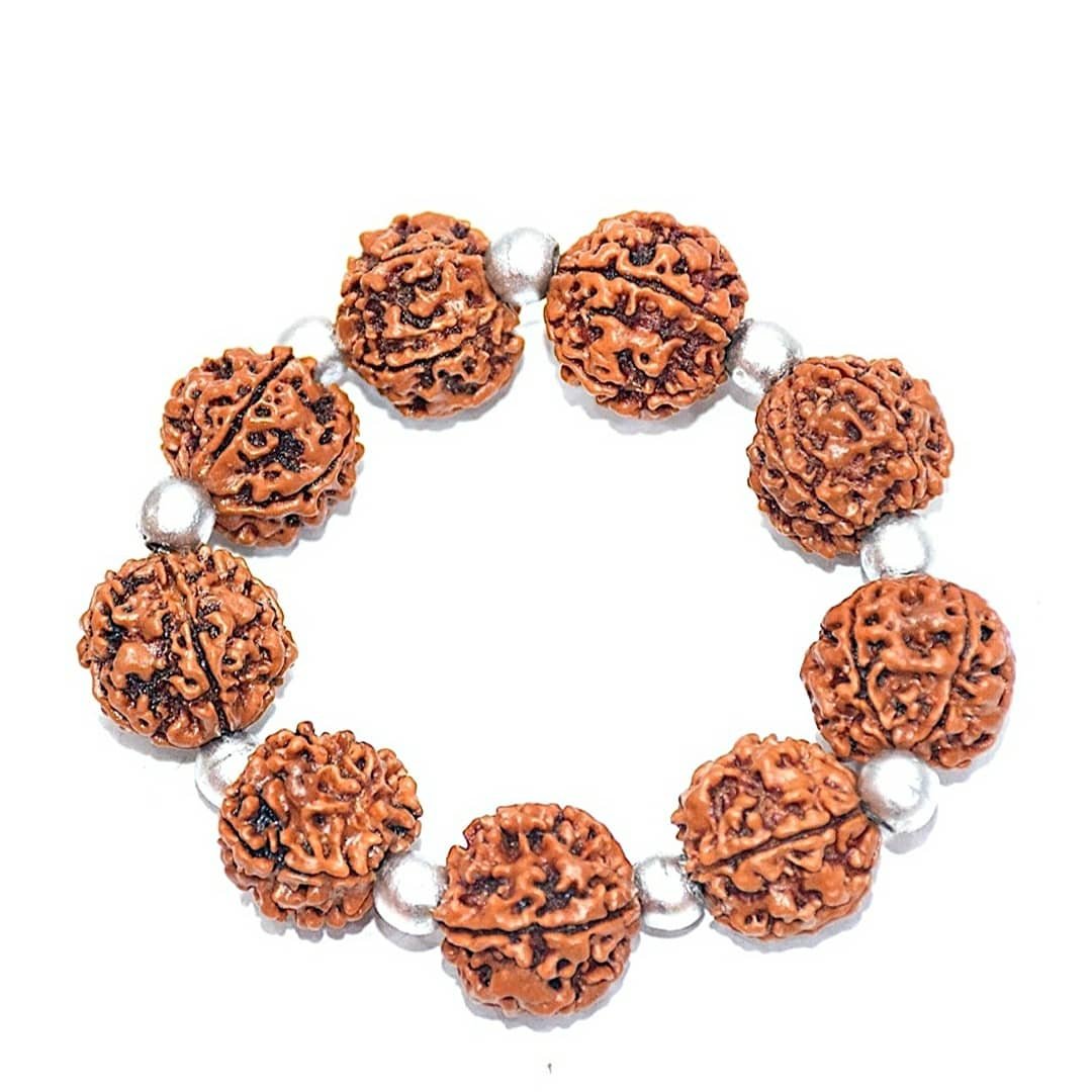 7-Mukhi Rudraksha Bracelet